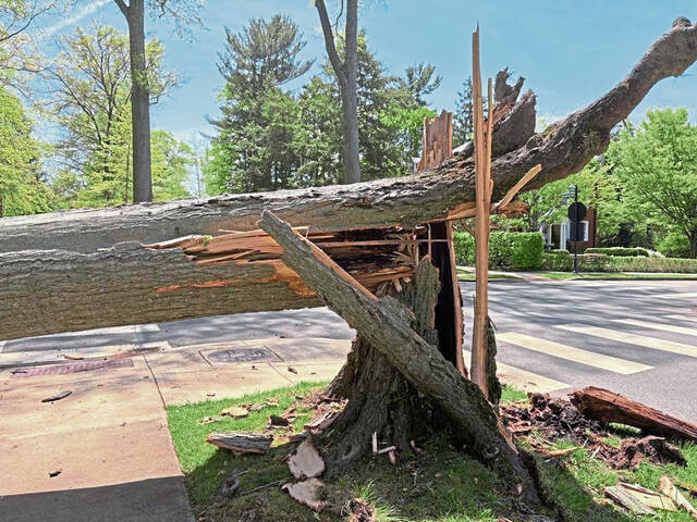 8458463_web1_sew-StormDamage-3