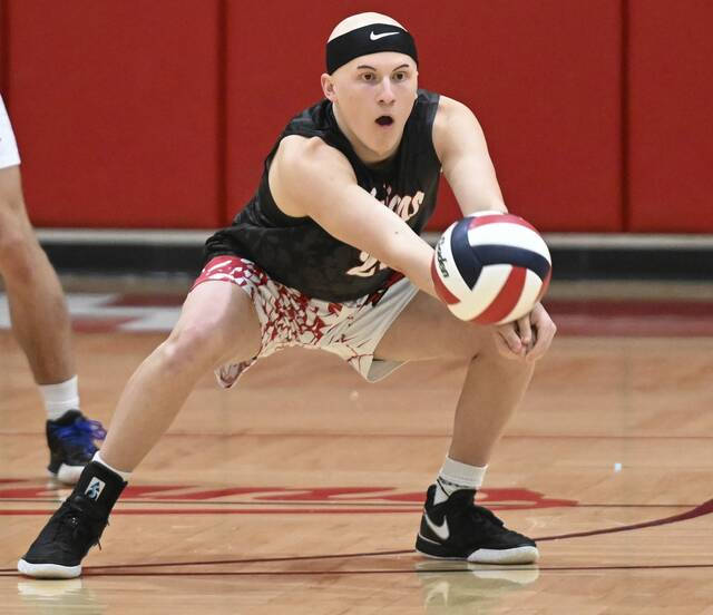 8461293_web1_nhj-NHVolley03-050625