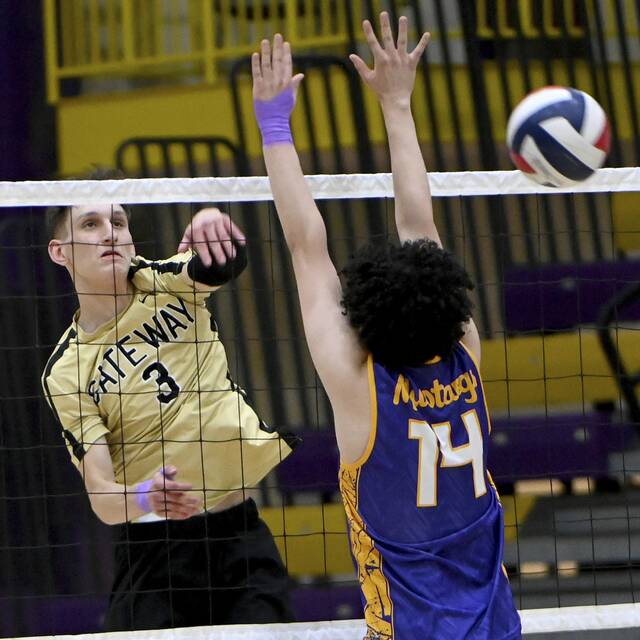 8461297_web1_ptr-PlumGatewayVB06-050725