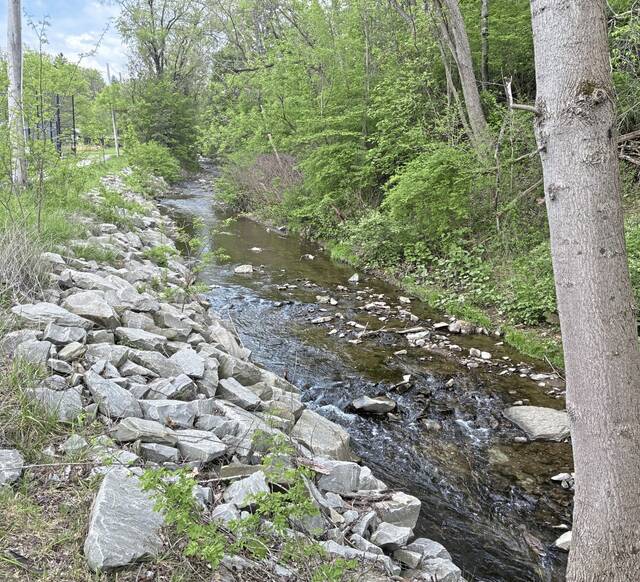 8463673_web1_Irwin-Park-streambank-stabilization
