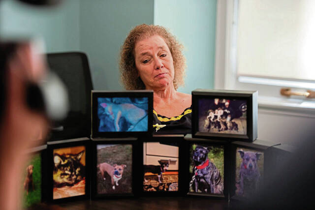 8467037_web1_vnd-PetLawsuit2-050325