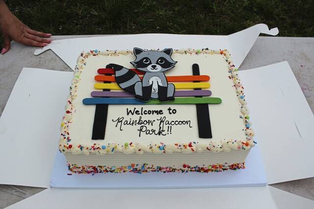 8473769_web1_sj-rainbowraccoon4-050725