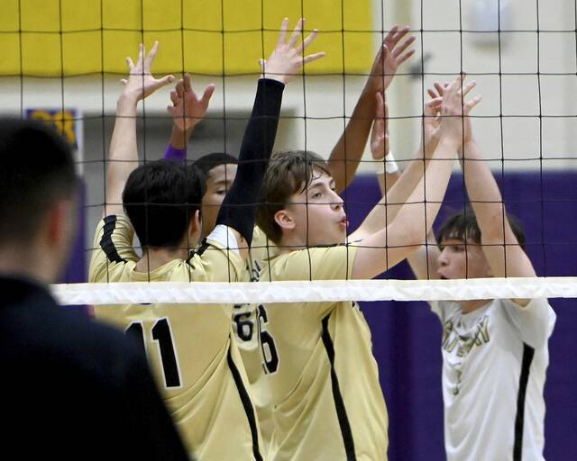 WPIAL clinched: Boys volleyball playoff qualifiers through May 6, 2025