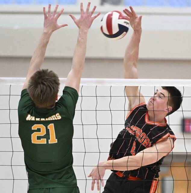 WPIAL clinched: Boys volleyball playoff field set with 26 teams