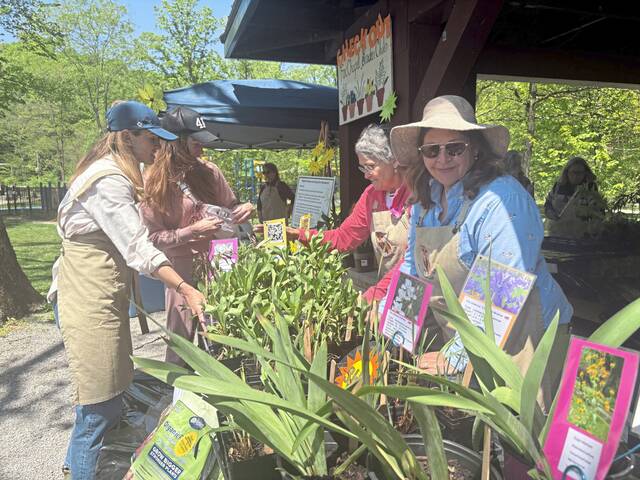 8496214_web1_HER-GardenFest7-052225