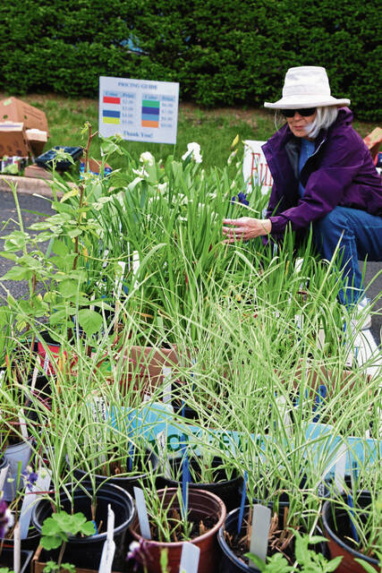 8518965_web1_naj-GardenSalePeggy-052925