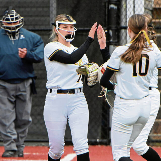 Successful season ends too soon for North Allegheny softball