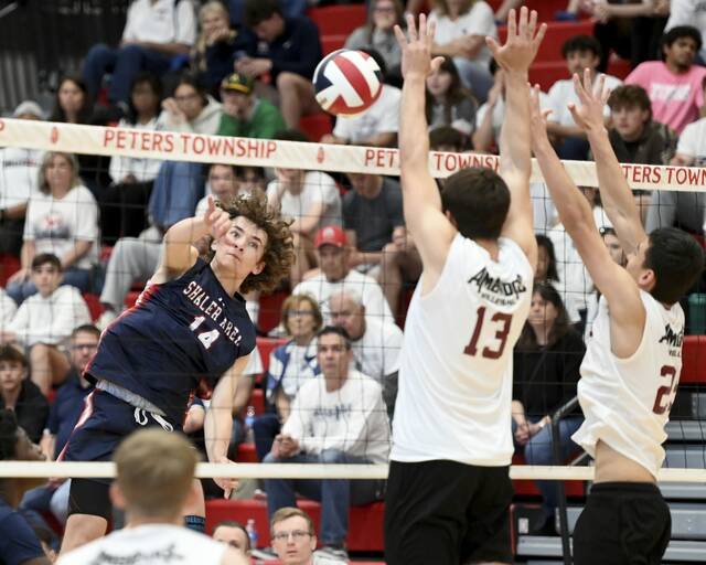 PIAA releases times, sites for boys volleyball playoffs