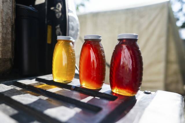 8416652_web1_gtr-localbeekeepers10-06082025