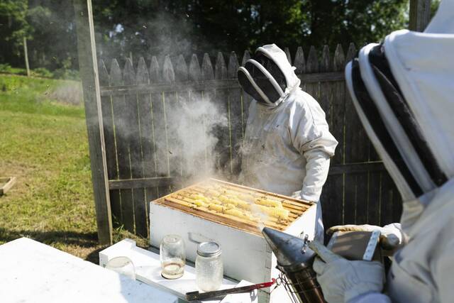 8416652_web1_gtr-localbeekeepers3-06082025