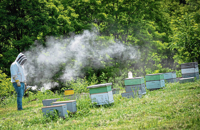 8416652_web1_gtr-localbeekeepers32-060825