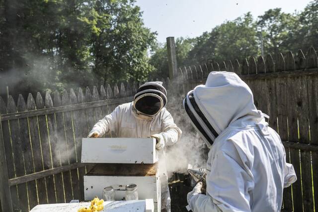 8416652_web1_gtr-localbeekeepers6-06082025