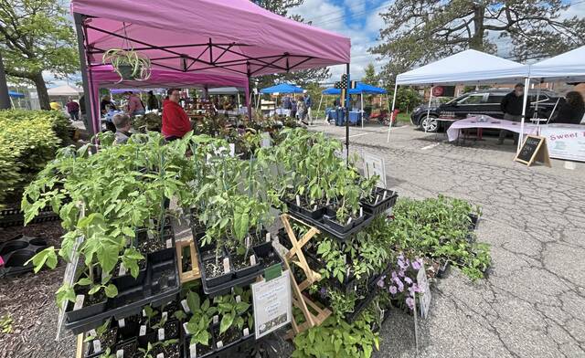 8539392_web1_vnd-farmersmarkets2-052725