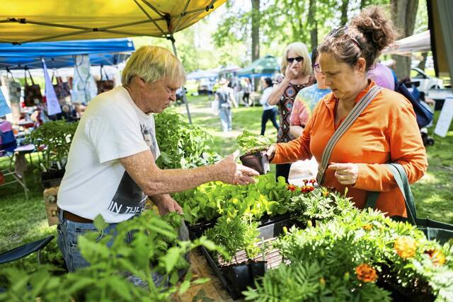 8542661_web1_vnd-farmersmarkets7-060325