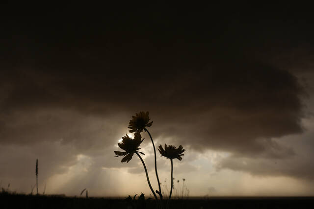 8542732_web1_ap25176508756832