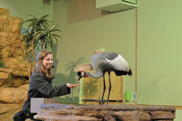 8543295_web1_part-nataviarysumpassport-060325