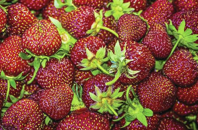 8552022_web1_StrawberriesWEB