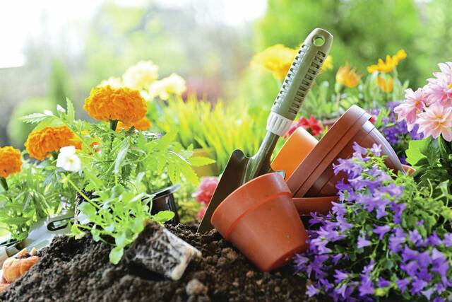 8552108_web1_Flower-gardening-WEB
