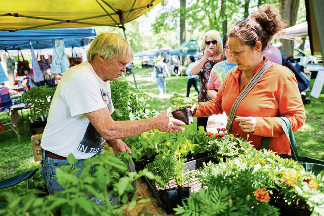 8564793_web1_vnd-farmersmarkets2-060325