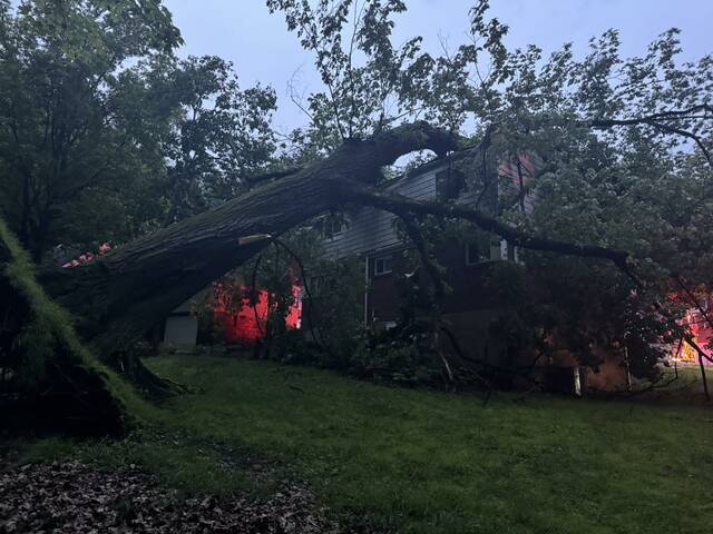 8572732_web1_php-TreeOnHouse1-062625