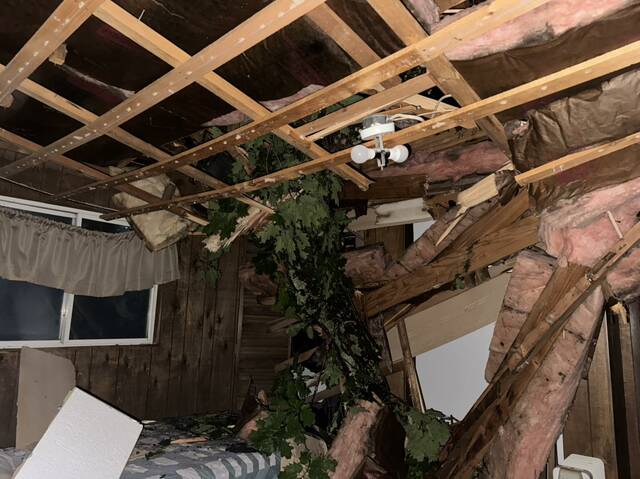 8572732_web1_php-TreeOnHouse2-062625