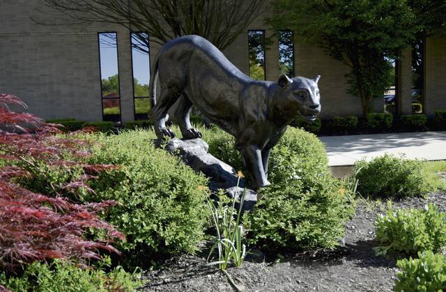 8578640_web1_sig-web-CarlyntonSD