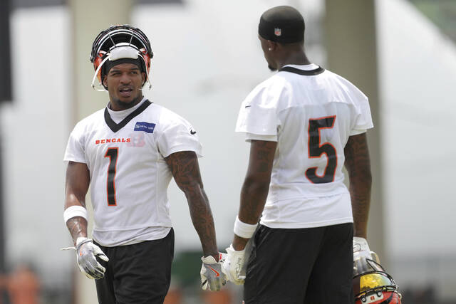 8585994_web1_8585994-ff5629782d264a5f825a5d053ab5ce44