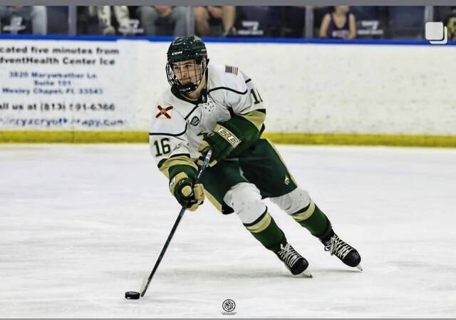 Former Norwin standout fills scoresheet as college hockey freshman