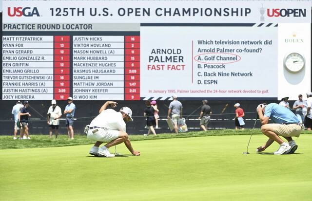 8588232_web1_ptr-USOpenPalla14-061225