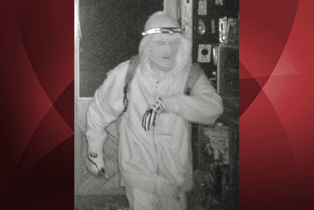 8595961_web1_gtr-stclairburglar-061425-001