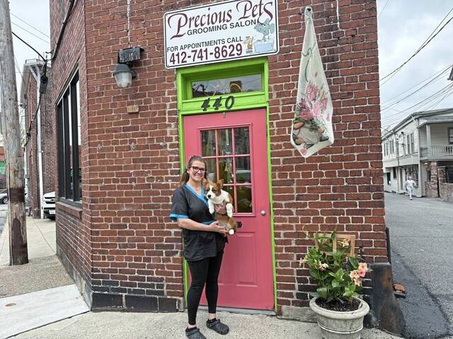8604482_web1_sew-PreciousPets-1