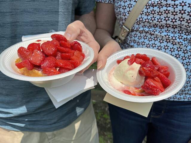 8605040_web1_vnd-burtnerstrawberry4a-061823