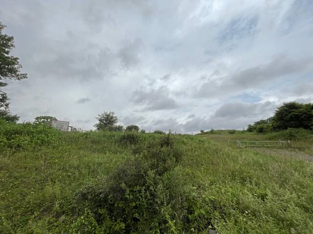 8605090_web1_gtr-DrakulicDecision01-061825