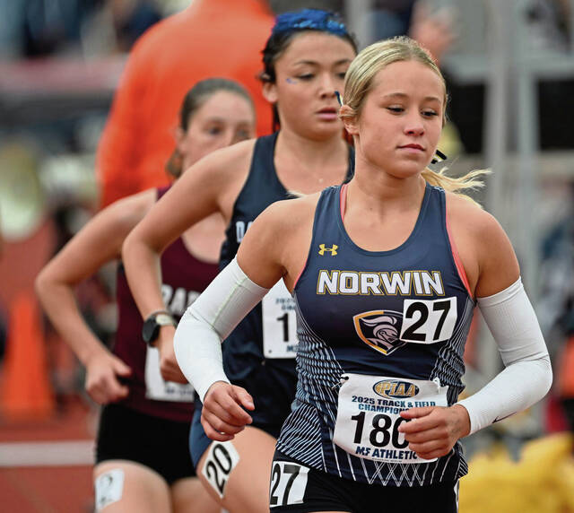 Track gold highlights memorable spring at Norwin