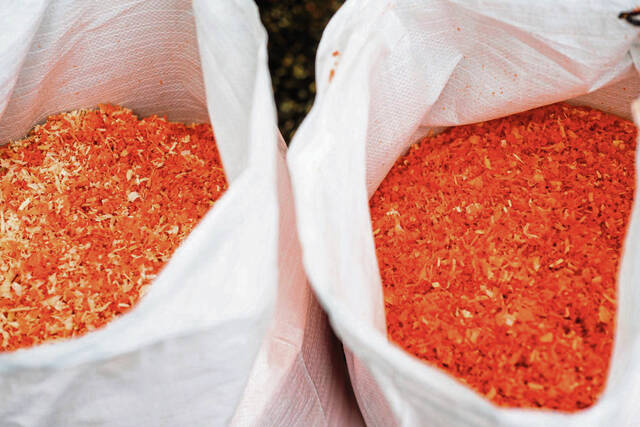 8609986_web1_vnd-lo-sawdust7-061825