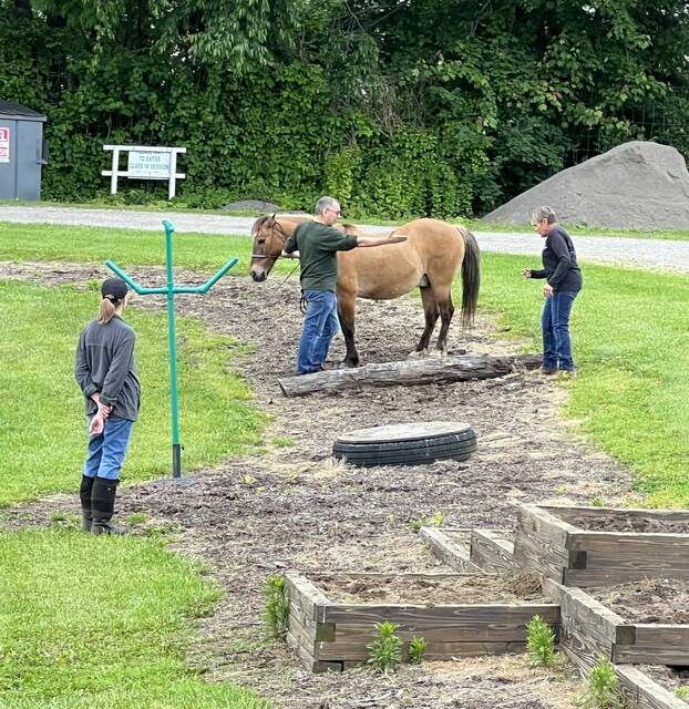 8611316_web1_naj-NRPDhorsesession-062625