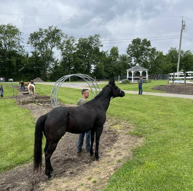8611316_web1_naj-NRPDjoneshorseoutside-062625