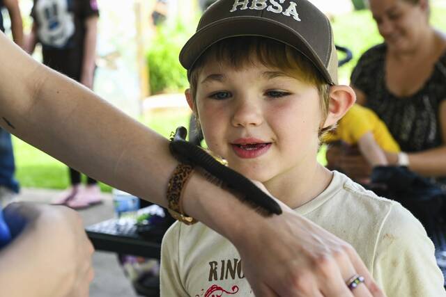 8618505_web1_vnd-lo-zookids001-061925