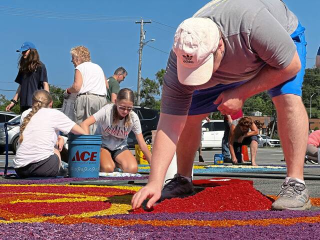 8621429_web1_vnd-sawdust-062325-10