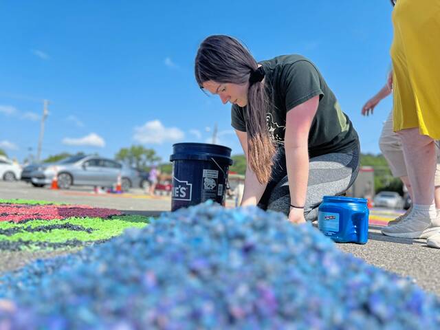 8621429_web1_vnd-sawdust-062325