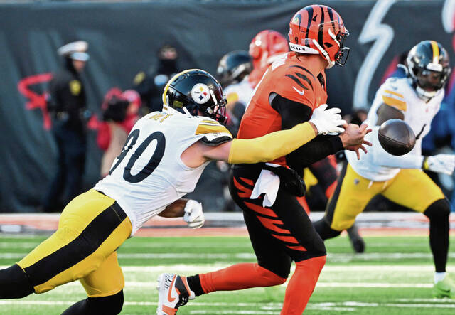 8622045_web1_ptr-SteelersBengals38web-120224
