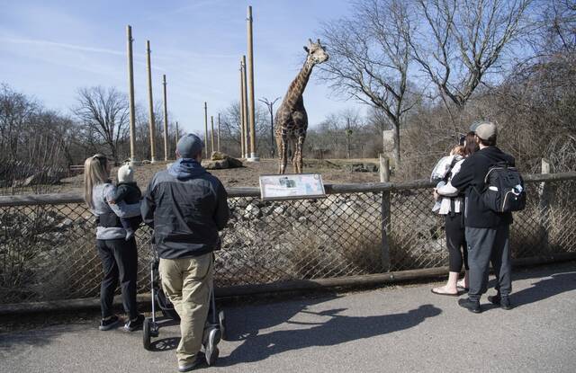 8630077_web1_ptr-ZooAnimals21