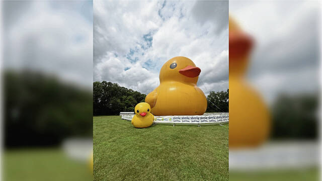 8637846_web1_gtr-GiantDuck-6