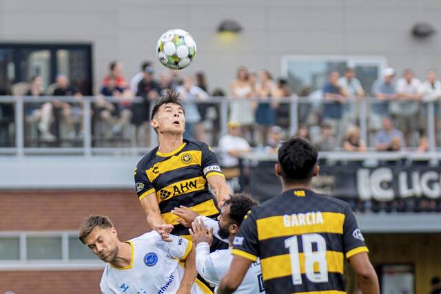 8639730_web1_ptr-hounds1-062925