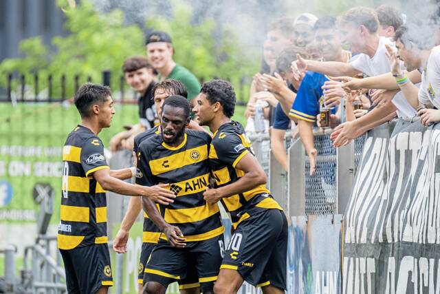 8639730_web1_ptr-hounds3-062925