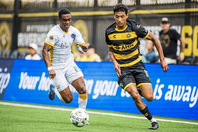 8639730_web1_ptr-hounds4-062925