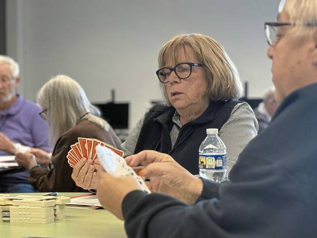 8546503_web1_gtr-bridgelessons4-061125
