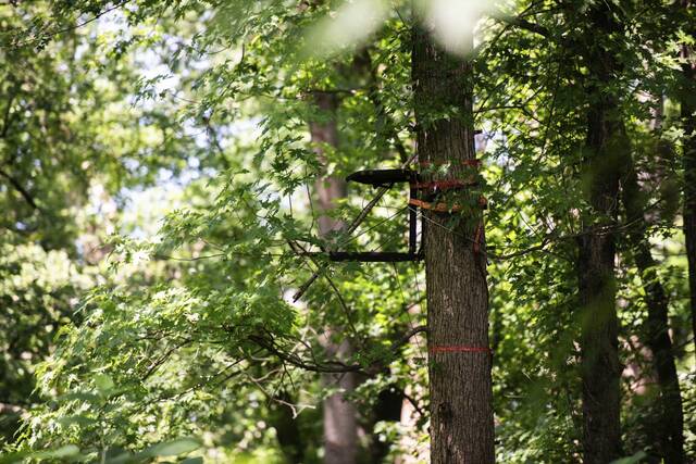 8625928_web1_VND-AlleghenyIslands5-070225
