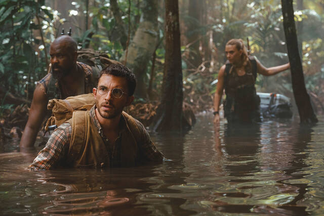 8646756_web1_8646756-38d014bcbe2242c095658b197b6b4f45