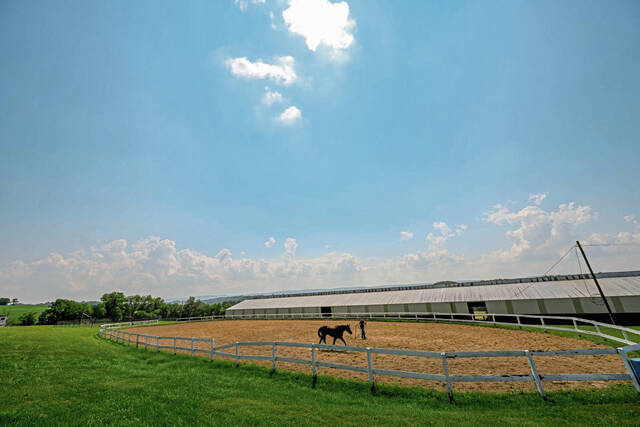 8662858_web1_gtr-CharityHorseShow100-071325